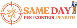 Same Daye Pest Control